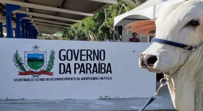 Paraíba conquista reconhecimento nacional de área livre da febre aftosa sem vacinação