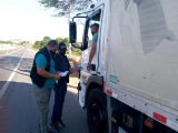 Mais de 30 ve&iacute;culos com cargas irregulares s&atilde;o apreendidos em opera&ccedil;&atilde;o da Sefaz, na PB